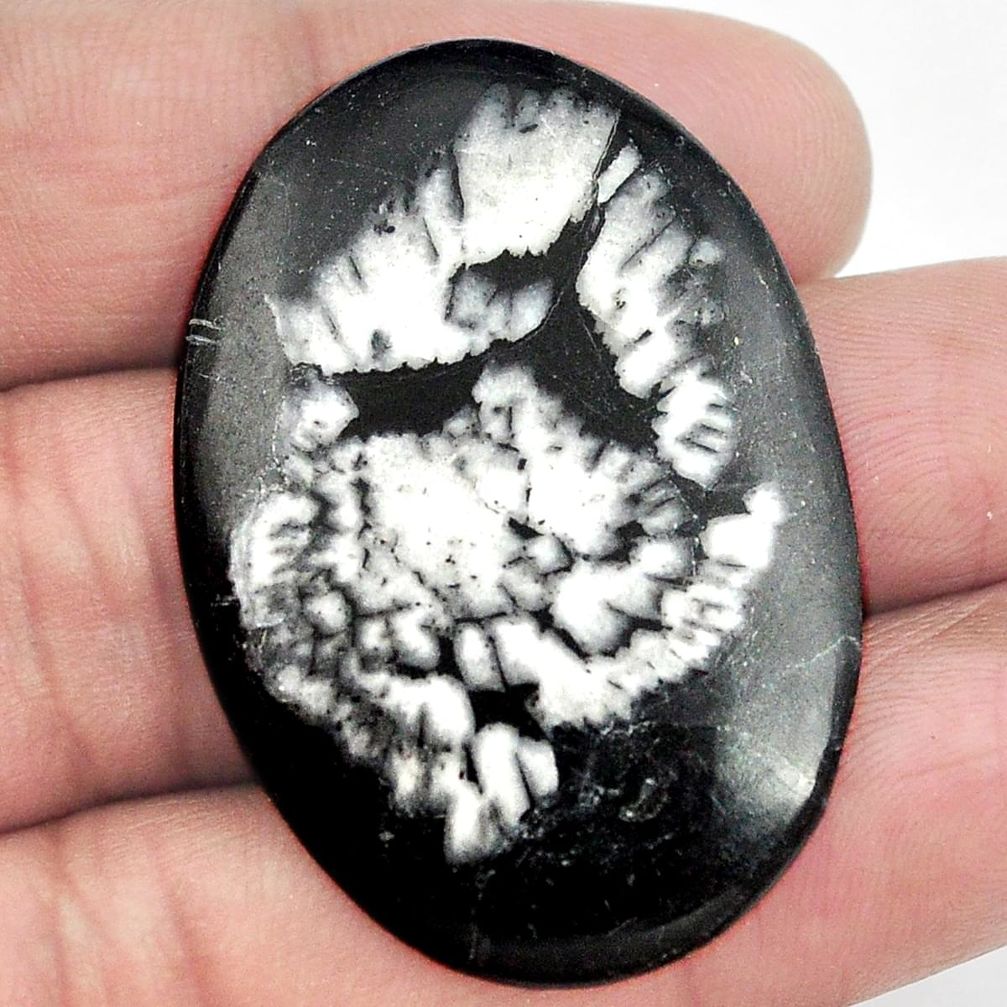 Natural 34.45cts chrysanthemum black cabochon 41x28 mm oval loose gemstone s3553