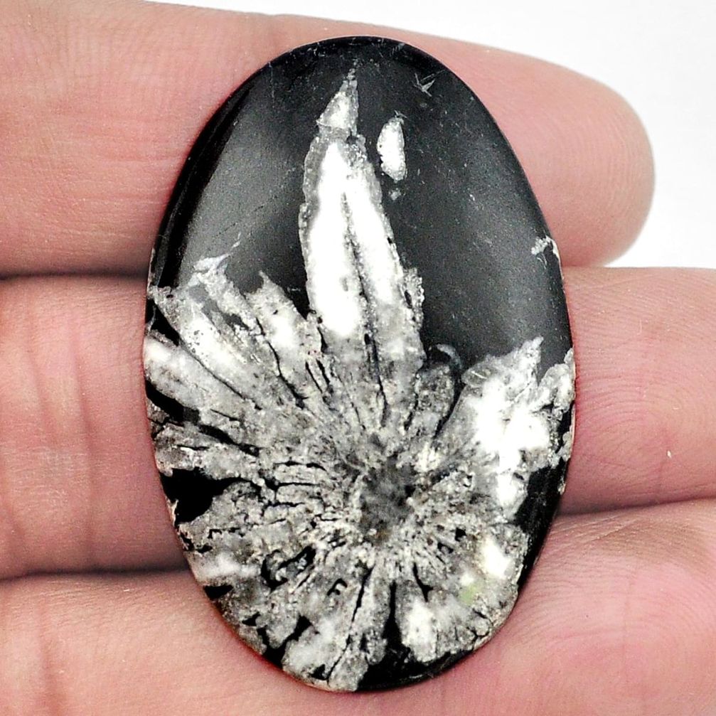 Natural 36.30cts chrysanthemum black cabochon 40x26 mm oval loose gemstone s3556