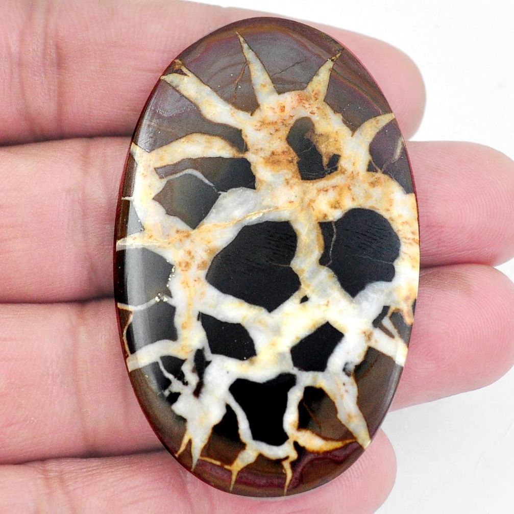 Natural 74.80cts septarian gonads black cabochon 55x33mm loose gemstone s3611