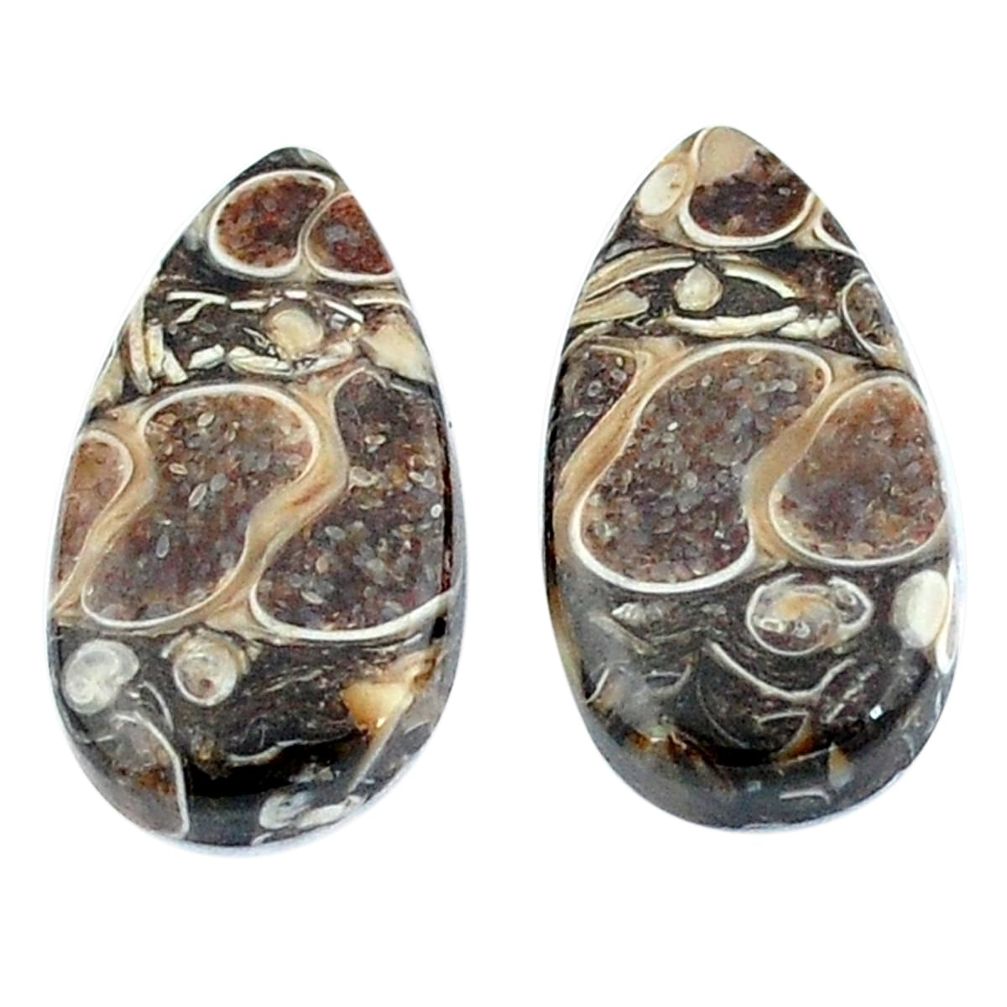 Natural 16.85cts turritella fossil snail agate 21x11mm pear loose gemstone s3741