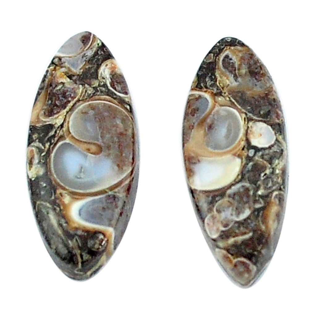 Natural 11.90ct turritella fossil snail agate 21x9mm marquise gemstone s3744