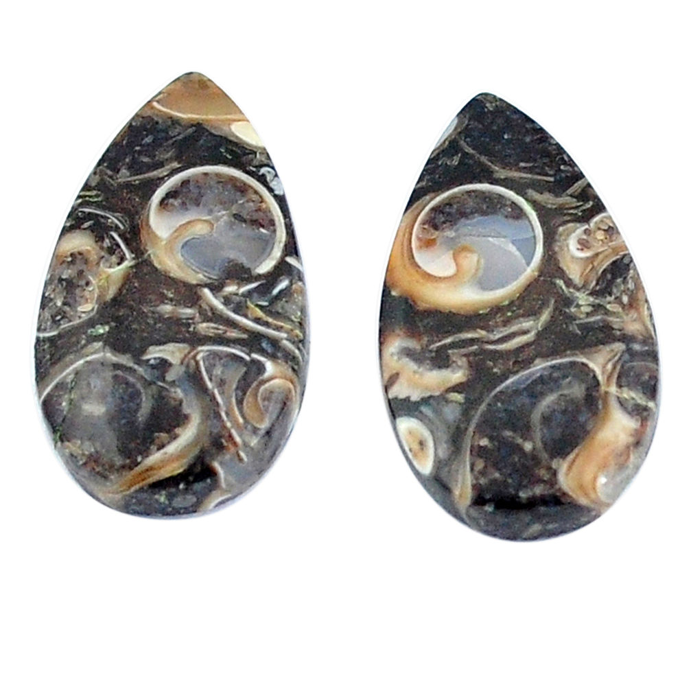 Natural 16.70cts turritella fossil snail agate 22x12.5mm pear gemstone s3745