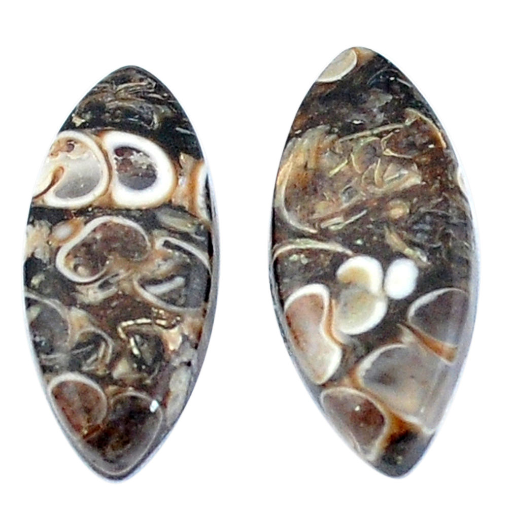 Natural 13.85cts turritella fossil agate 22x10 mm marquise loose gemstone s3747