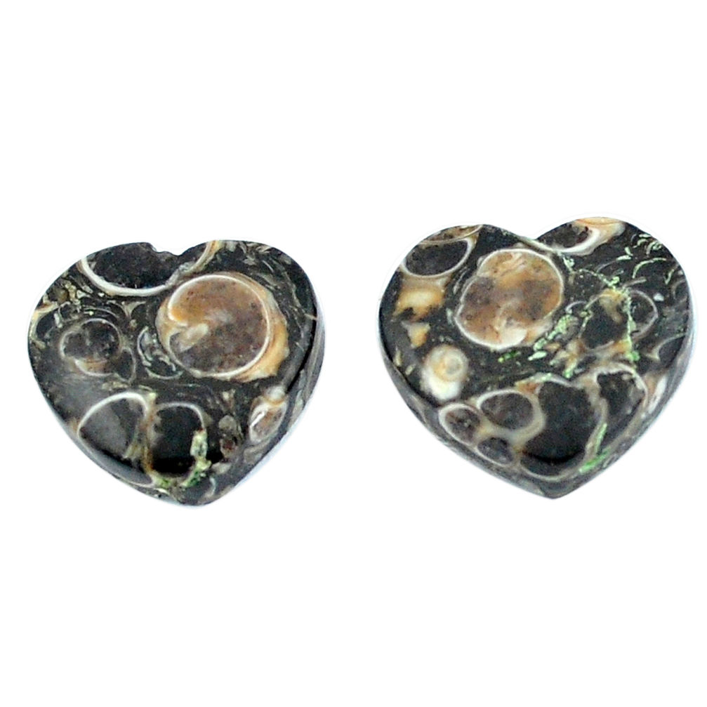 Natural 18.95cts turritella fossil agate 15x17 mm heart loose gemstone s3751