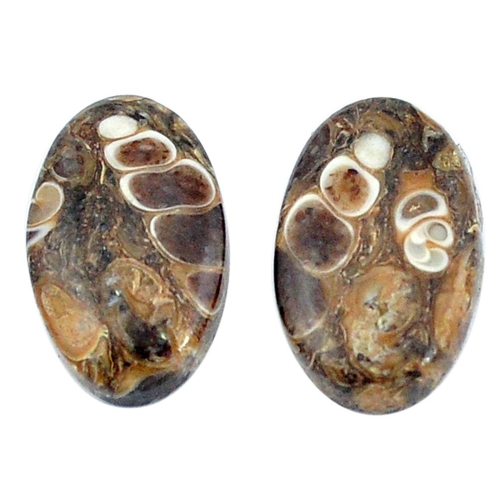 Natural 14.85cts turritella fossil snail agate 19x11mm oval loose gemstone s3754