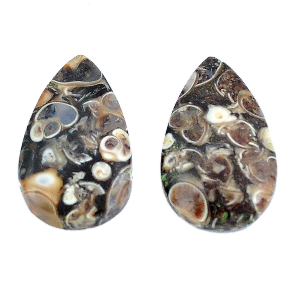 Natural 18.85cts turritella fossil agate 22x13.5 mm pear loose gemstone s3760