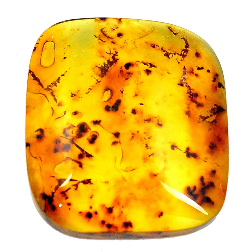 Natural 16.90cts amber from colombia green 27x24 mm octagan loose gemstone s4160