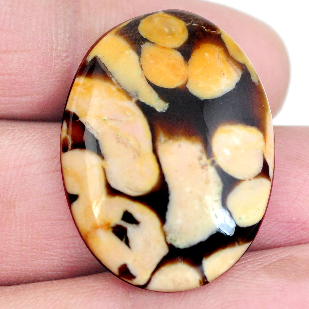 Natural 26.15cts peanut petrified wood fossil 30x22 mm oval loose gemstone s4343