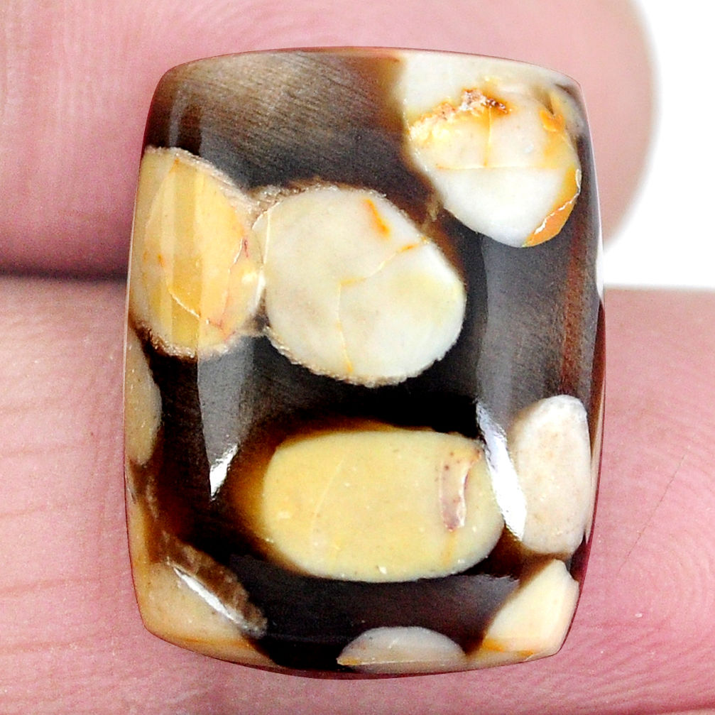 Natural 15.90ct peanut petrified wood fossil 20x15mm loose gemstone s4352