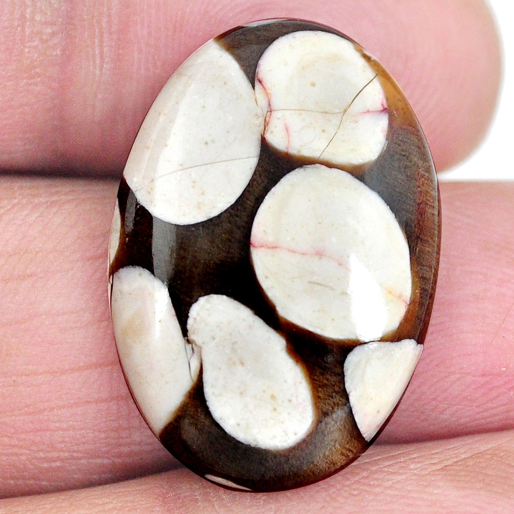 Natural 16.15cts peanut petrified wood fossil 25x17 mm oval loose gemstone s4354