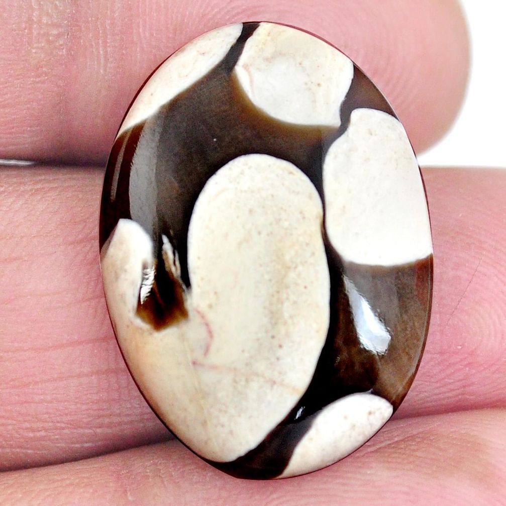 Natural 17.10ct peanut petrified wood fossil 25.5x18mm oval loose gemstone s4356