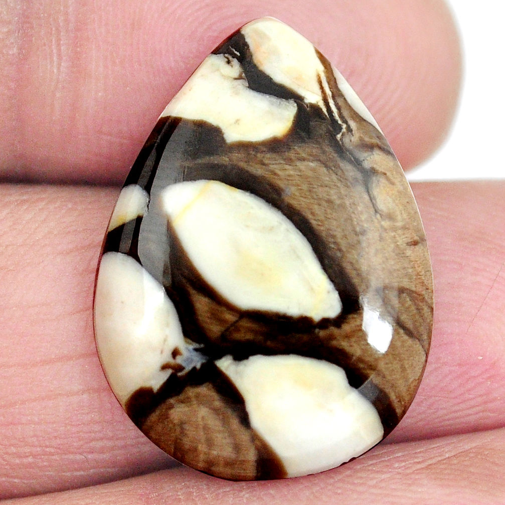 Natural 14.05cts peanut petrified wood fossil 24x17mm pear loose gemstone s4357