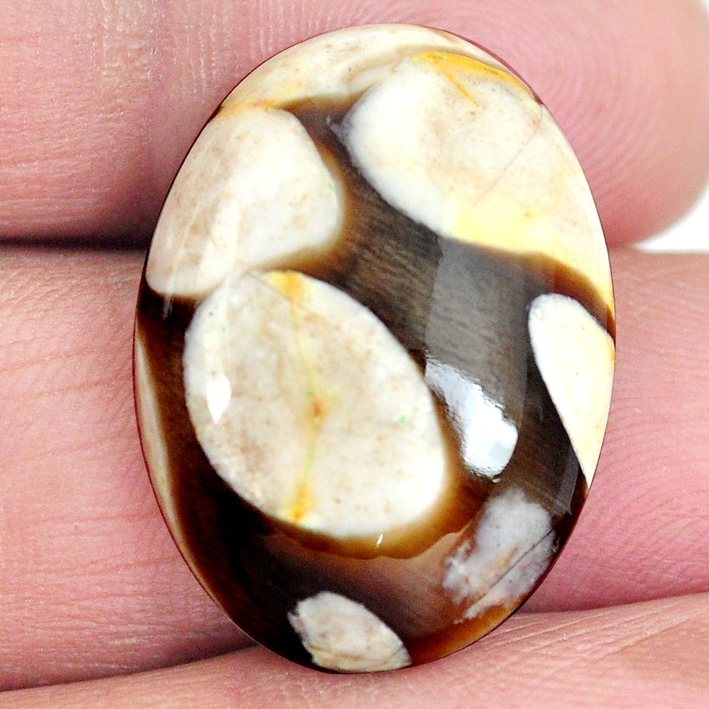 Natural 18.90cts peanut petrified wood fossil 25x18 mm oval loose gemstone s4358