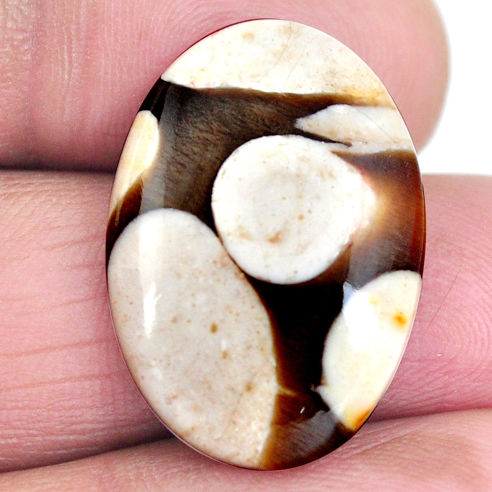 Natural 15.15cts peanut petrified wood fossil 25x17mm oval loose gemstone s4360