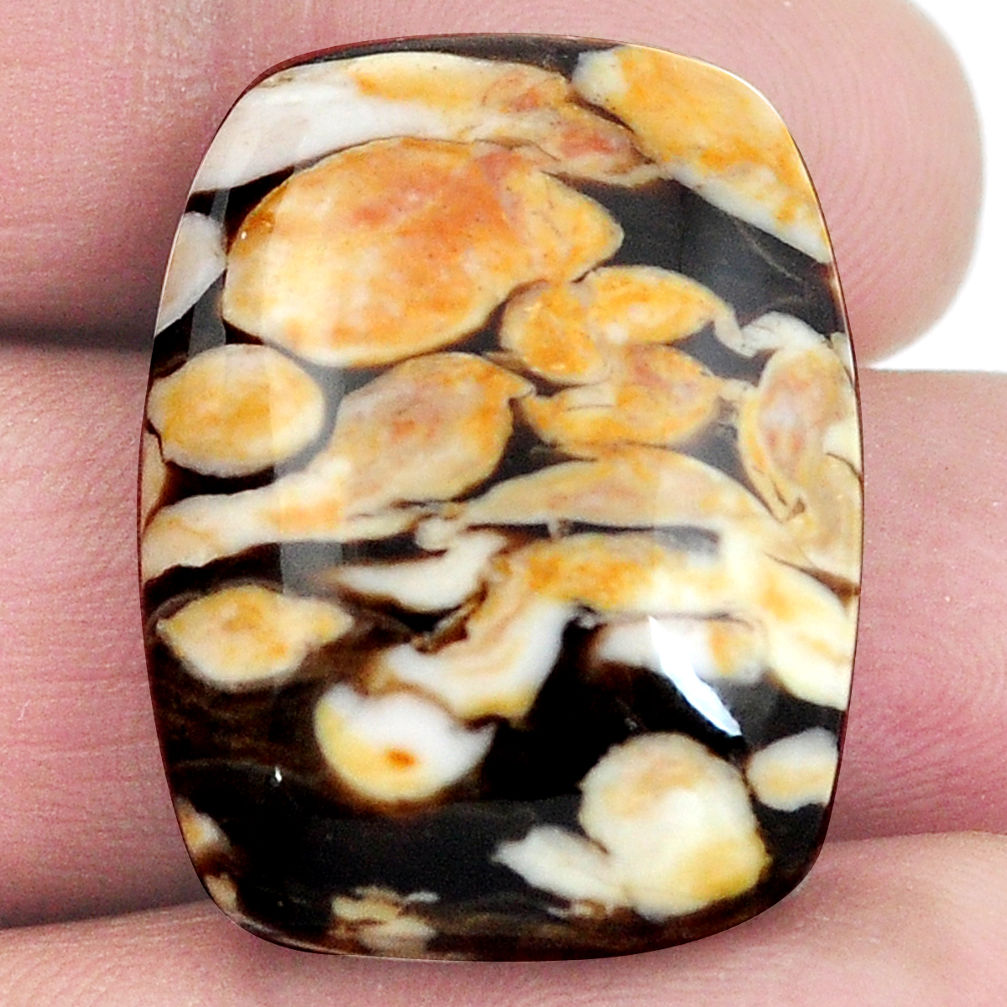 Natural 29.45cts peanut petrified wood fossil 27x21 mm oval loose gemstone s4542