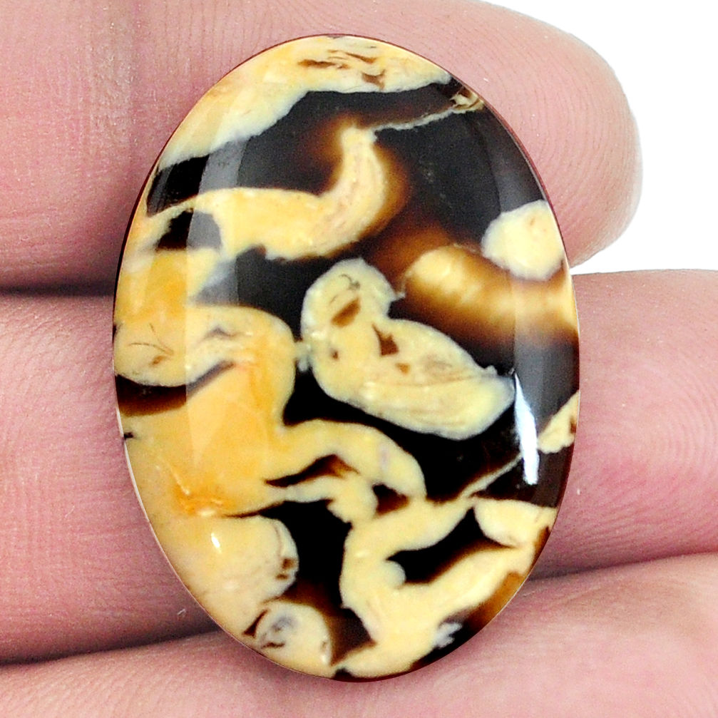 Natural 21.35cts peanut petrified wood fossil 31x22 mm oval loose gemstone s4545