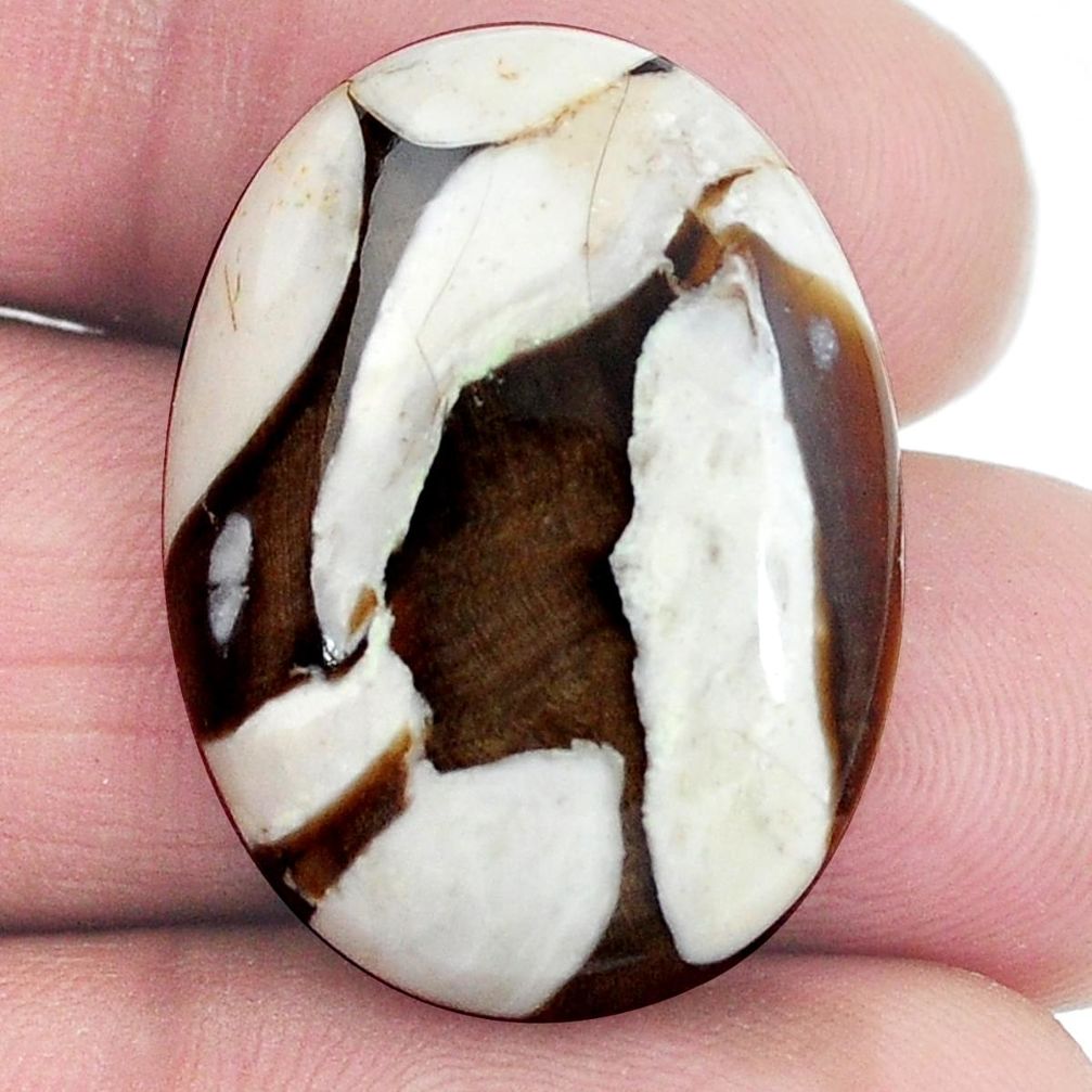Natural 25.10ct peanut petrified wood fossil 27.5x20mm oval loose gemstone s4548