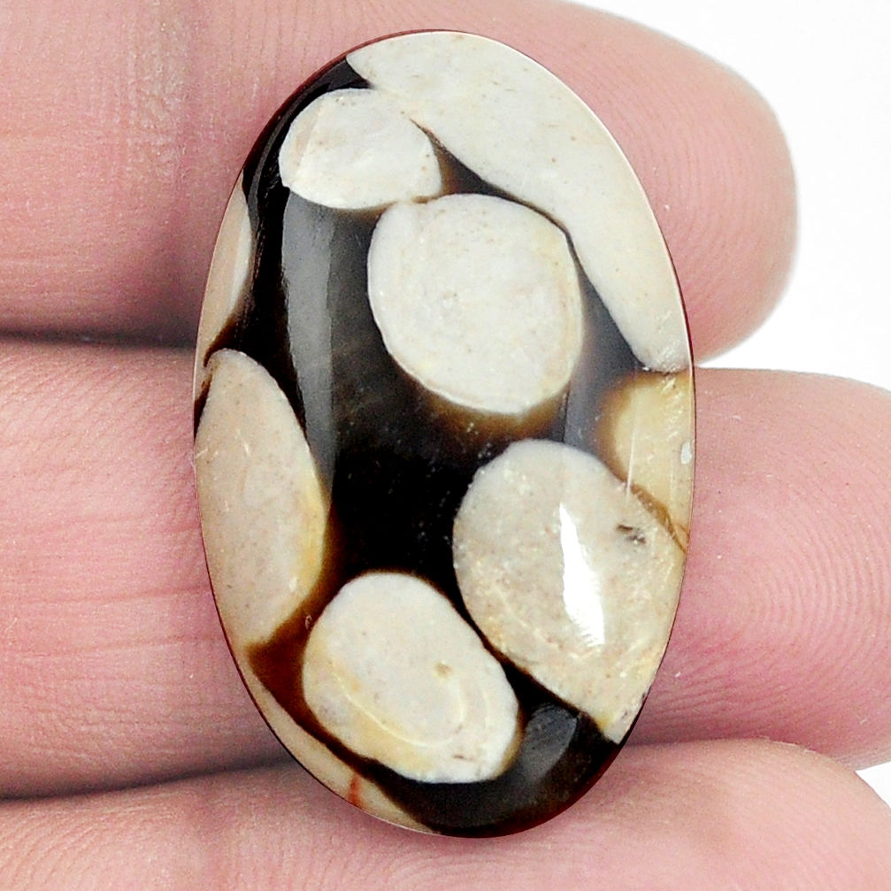 Natural 20.10cts peanut petrified wood fossil 31x19 mm oval loose gemstone s4550