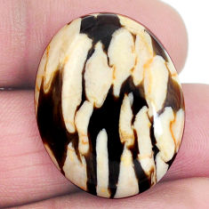 Natural 23.15cts peanut petrified wood fossil 26x21 mm oval loose gemstone s4552