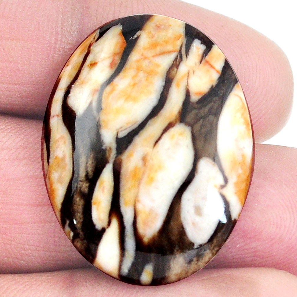 Natural 21.25cts peanut petrified wood fossil 29x22 mm oval loose gemstone s4553