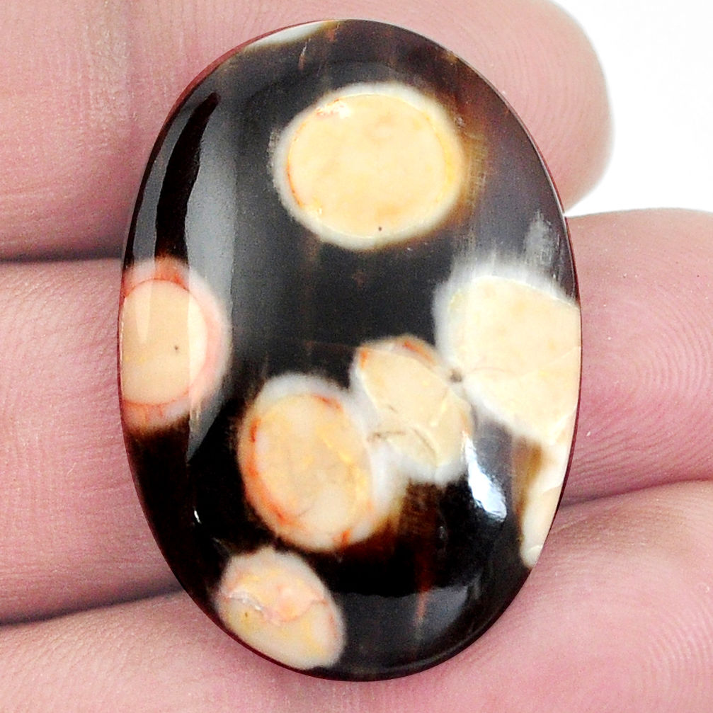 Natural 29.35cts peanut petrified wood fossil 33x22 mm oval loose gemstone s4554