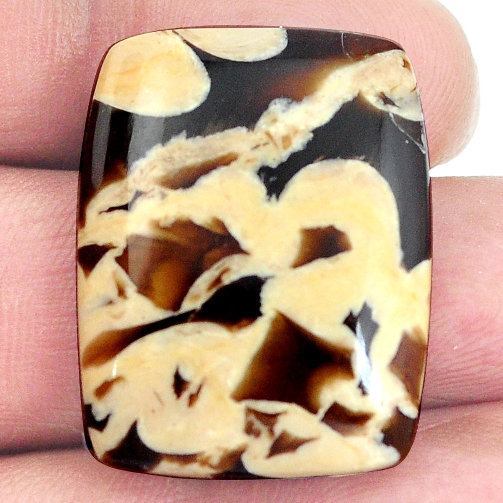 Natural 29.30cts peanut petrified wood fossil 28x21 mm loose gemstone s4557