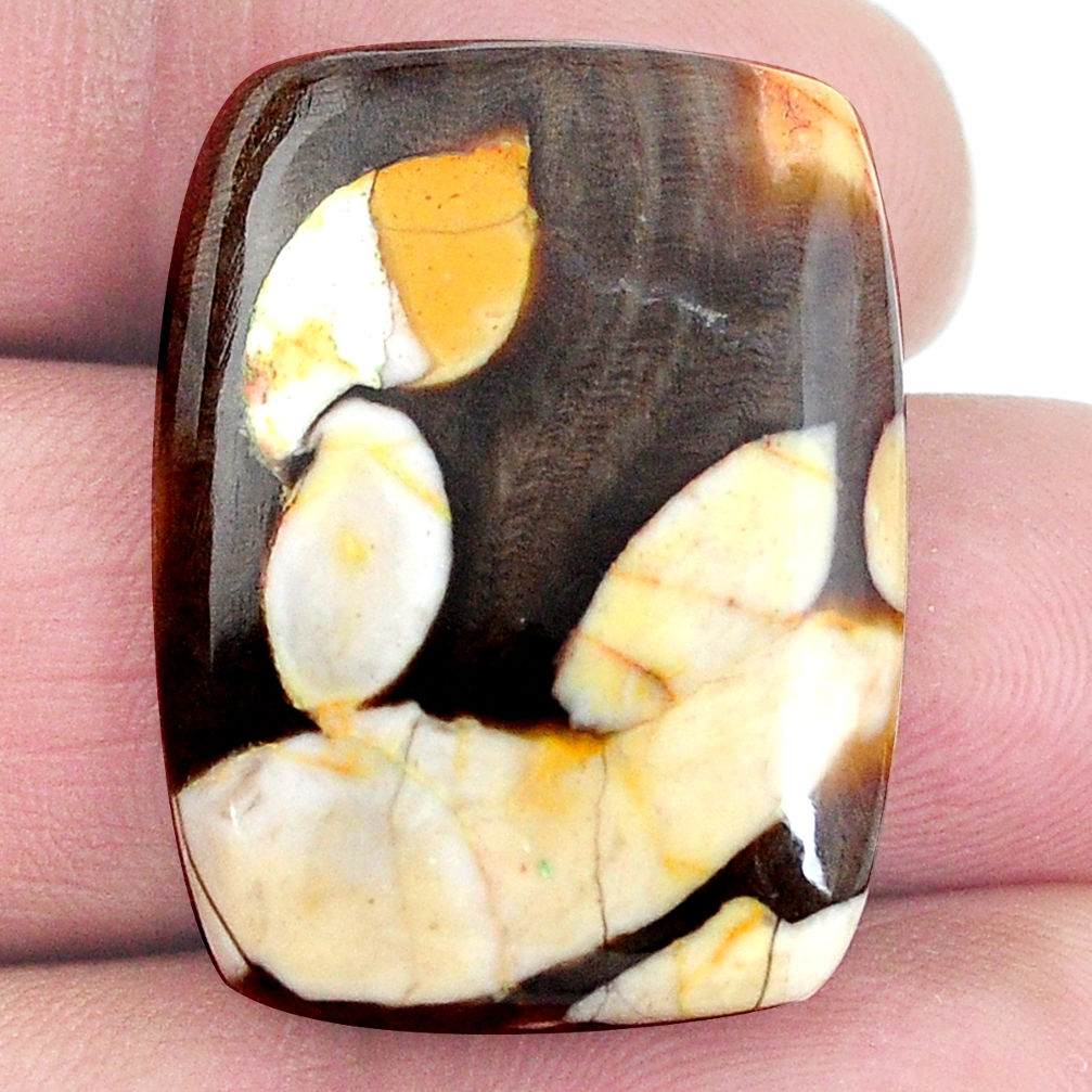 Natural 25.10cts peanut petrified wood fossil 29x21 mm loose gemstone s4558