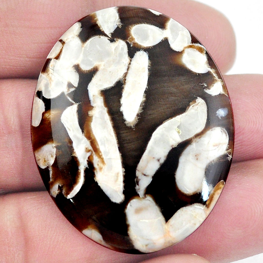 Natural 44.45cts peanut petrified wood fossil 40x32 mm oval loose gemstone s4559