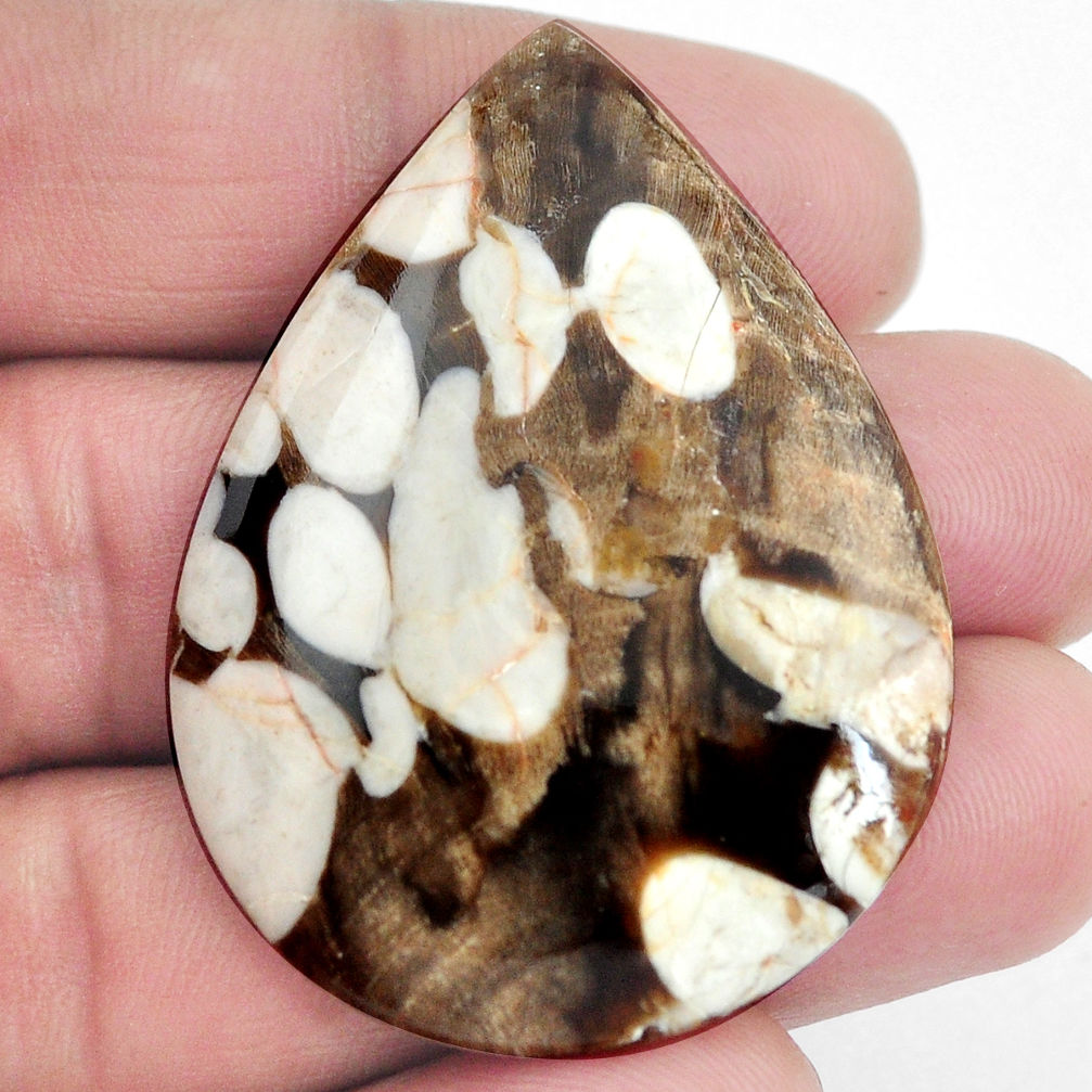 Natural 53.15cts peanut petrified wood fossil 46x34 mm pear loose gemstone s4560