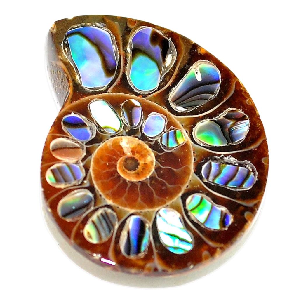 Natural 23.10cts abalone in ammonite multicolor 26x21 mm loose gemstone s5690