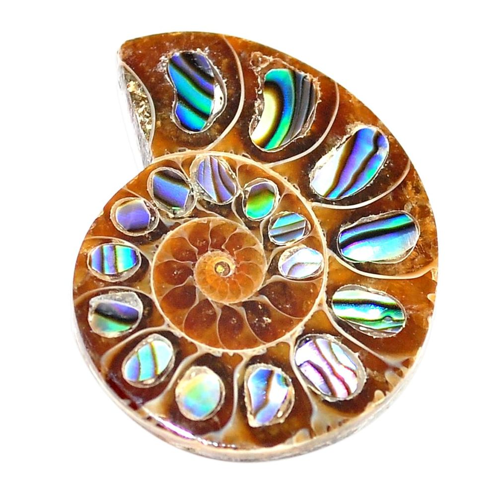 Natural 21.30cts abalone in ammonite multi color 25x20 mm loose gemstone s6201