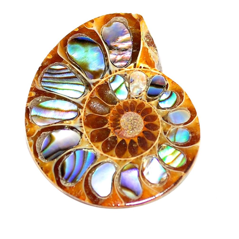 Natural 20.10cts abalone in ammonite multi color 24x20 mm loose gemstone s6214