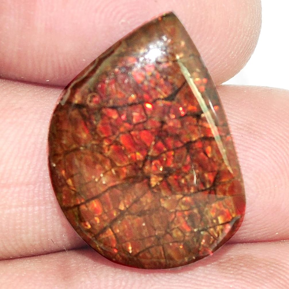 Natural 13.45cts ammolite (canadian) multicolor 23x16.5mm loose gemstone s6382