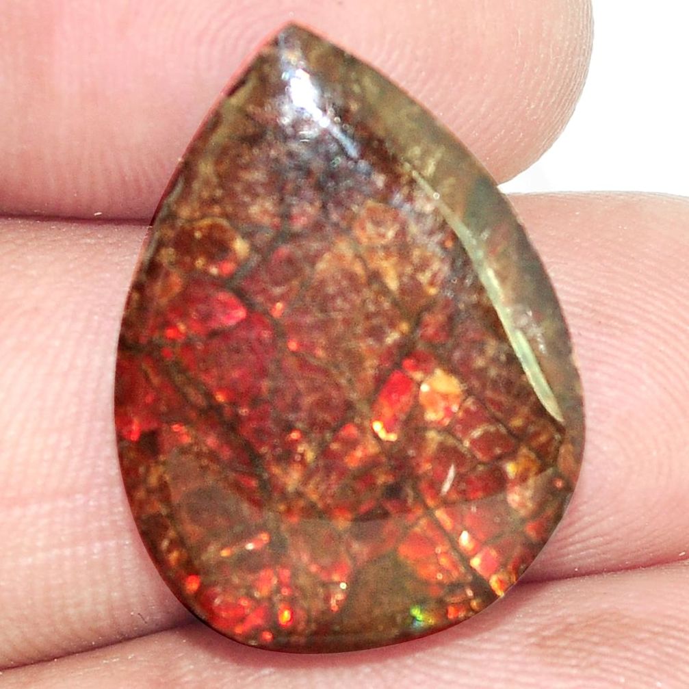 Natural 14.35cts ammolite (canadian) multi color 23x17mm loose gemstone s6383