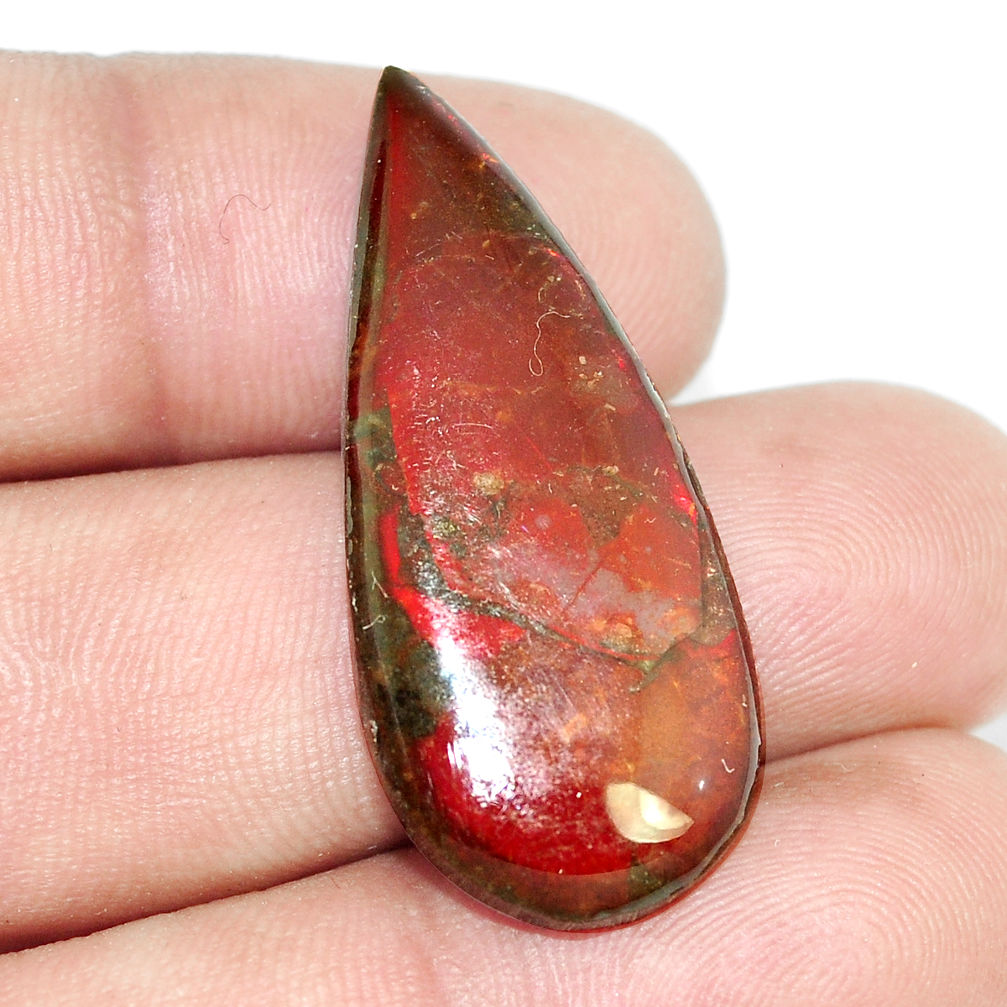 Natural 12.35cts ammolite (canadian) multi color 35x15 mm loose gemstone s6428