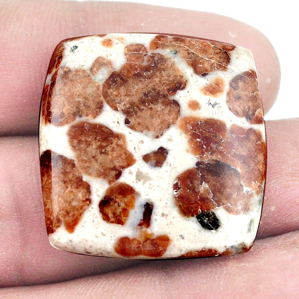 Natural 42.35cts garnet in limestone spessartine 27x26.5mm loose gemstone s7281