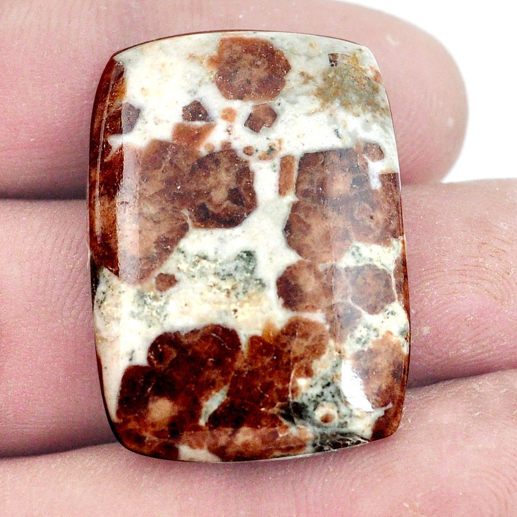 Natural 39.45cts garnet in limestone spessartine 20x22 mm loose gemstone s7283