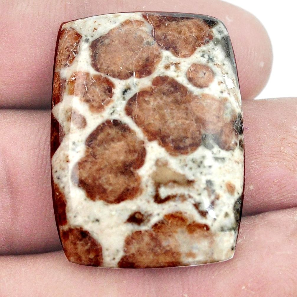 Natural 48.45cts garnet in limestone spessartine 32x23.5 mm loose gemstone s7288