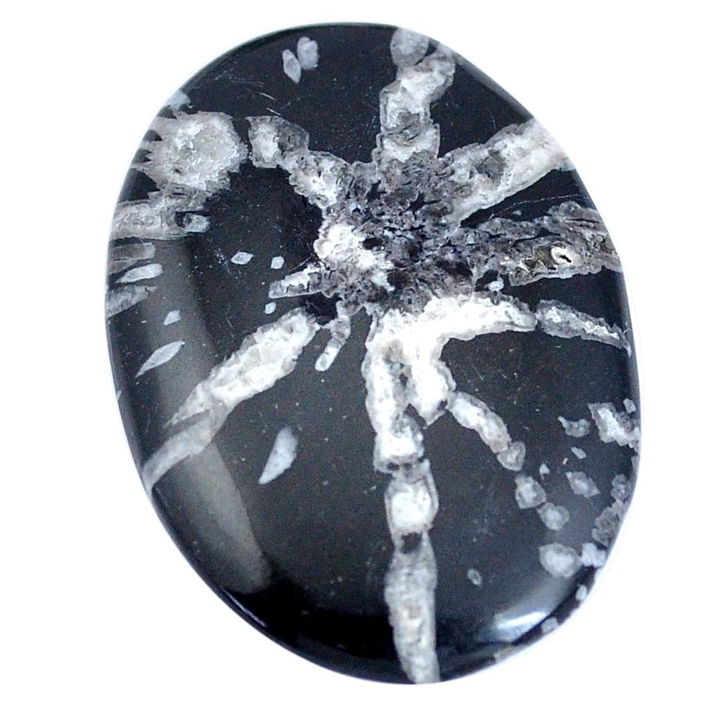 Natural 32.35cts chrysanthemum black 38x26 mm oval loose gemstone s7395