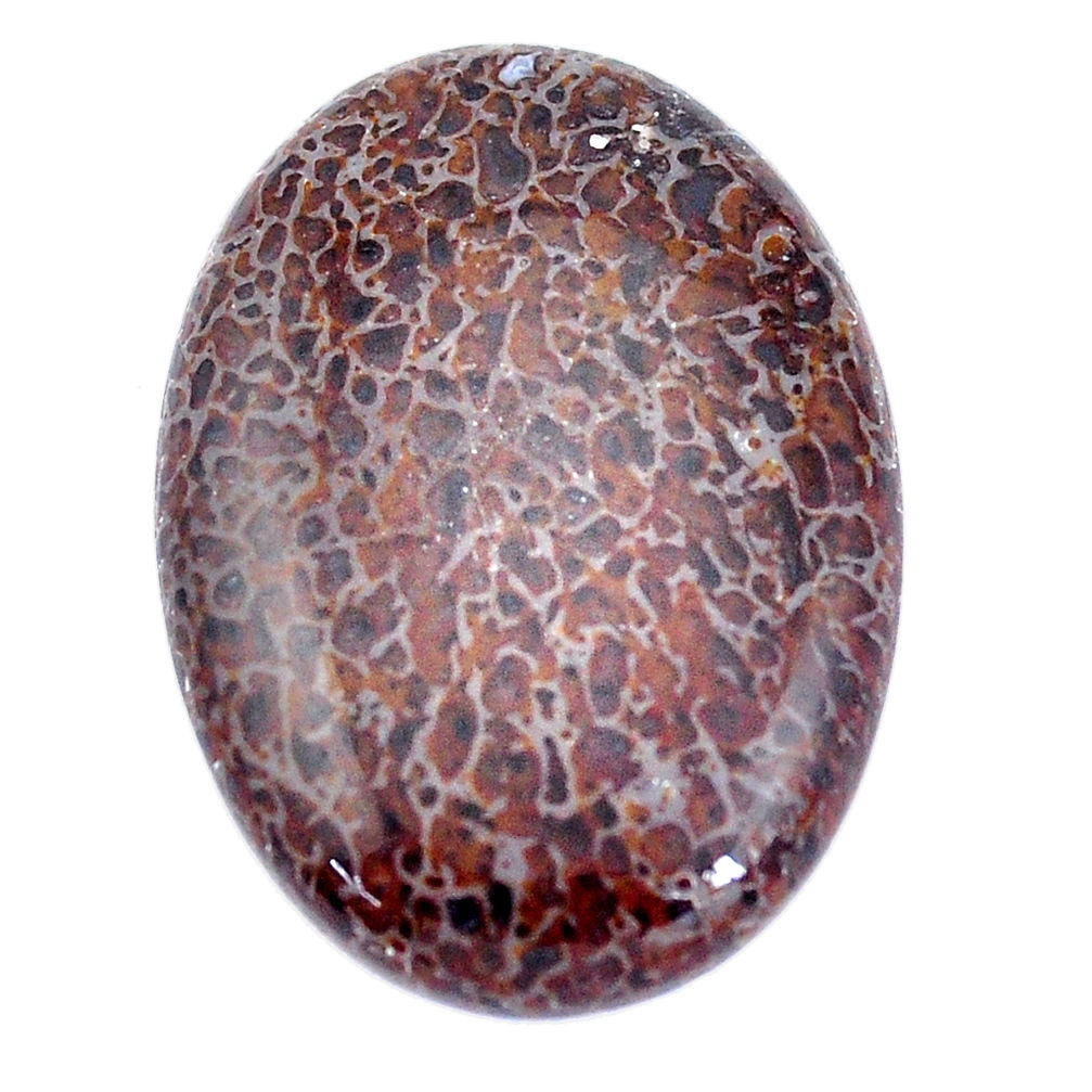 Natural 38.45cts dinosaur bone fossilized brown 35x24 mm loose gemstone s7603