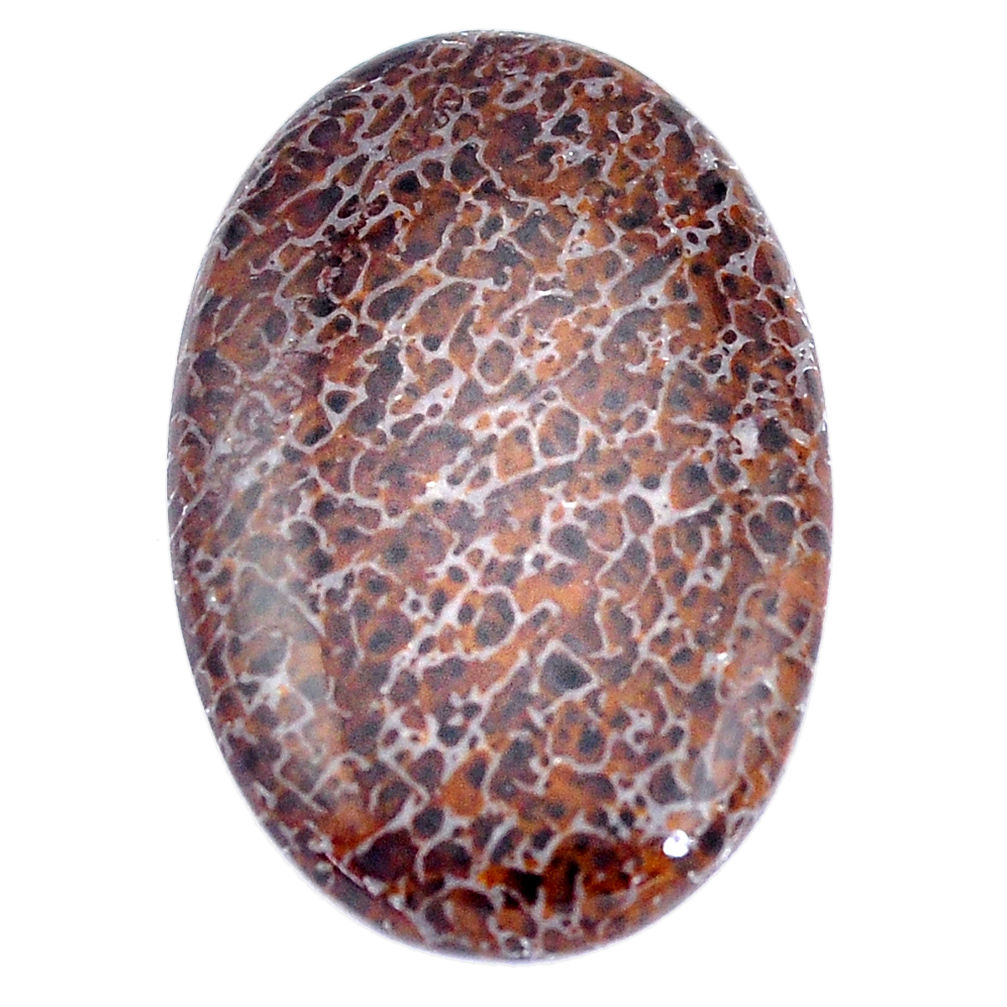 Natural 36.30cts dinosaur bone fossilized brown 37x24 mm loose gemstone s7610