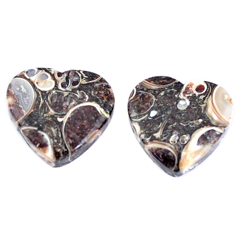 Natural 16.30cts turritella fossil snail agate 15x15mm pair loose gemstone s7664
