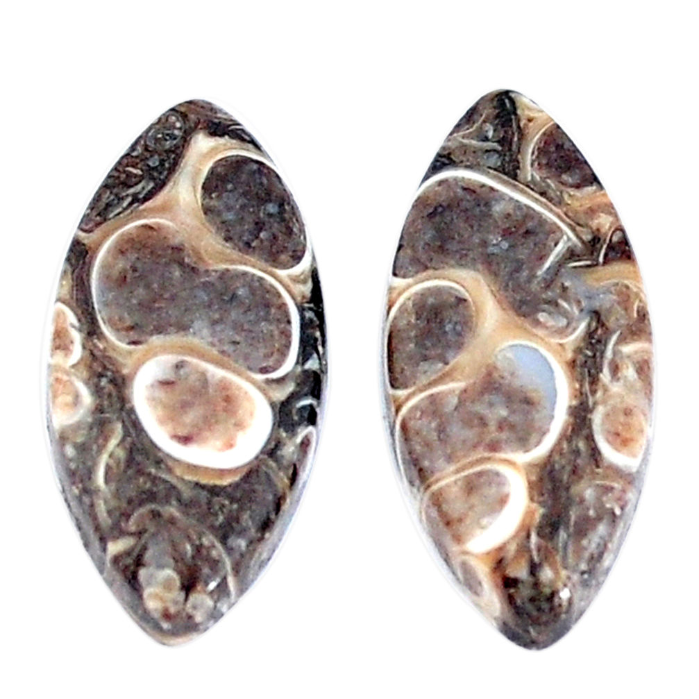 Natural 13.45cts turritella fossil snail agate 21x10mm pair loose gemstone s7665