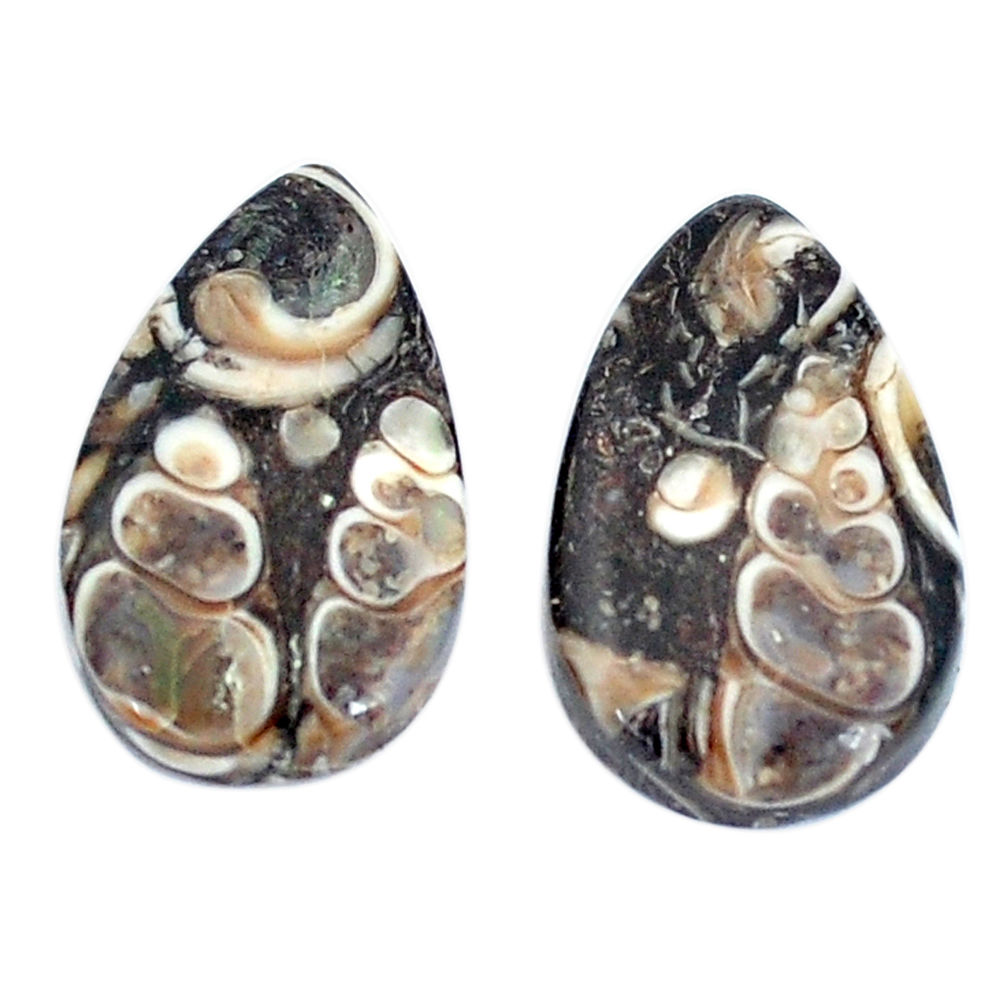 Natural 15.10cts turritella fossil snail agate 20x12mm pair loose gemstone s7667