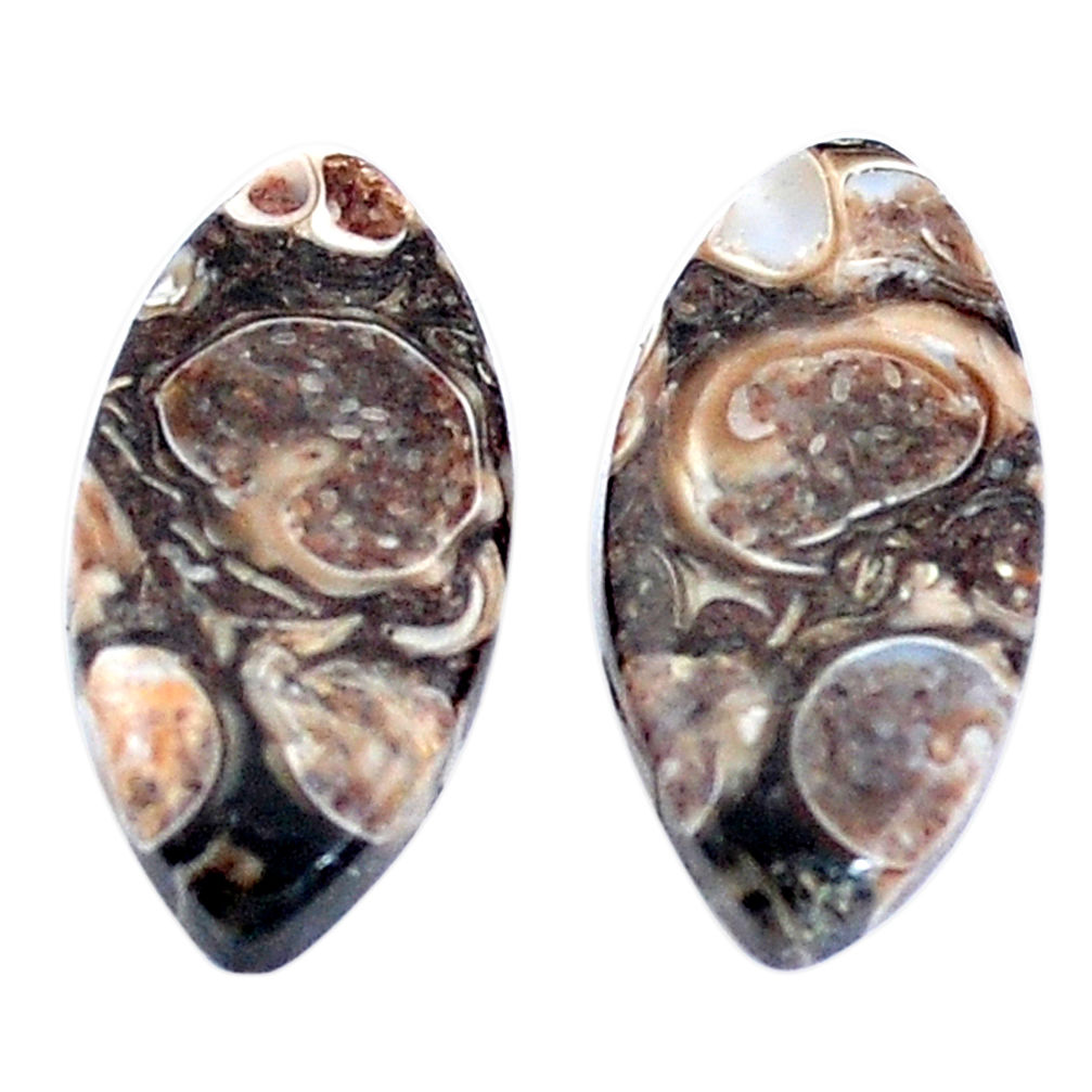 Natural 13.45cts turritella fossil snail agate 21x11mm pair loose gemstone s7668
