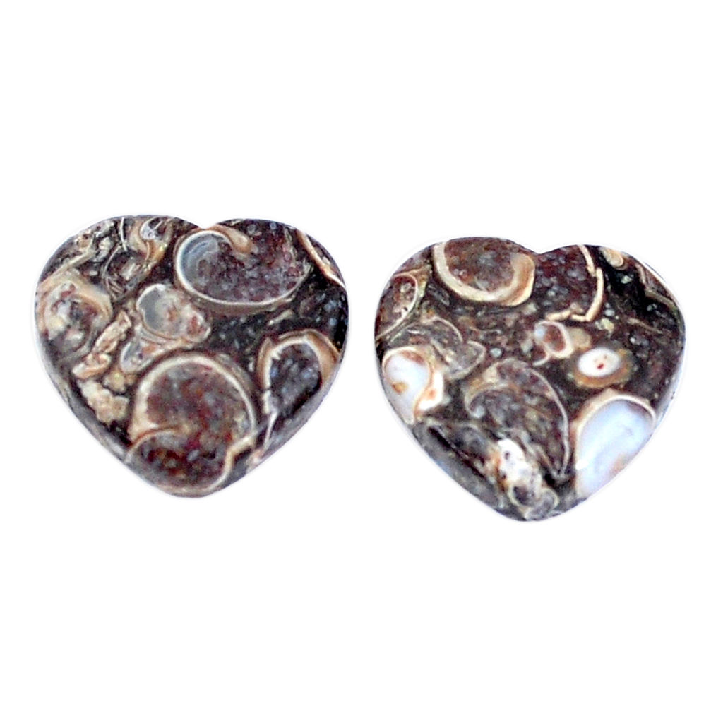 Natural 16.30cts turritella fossil snail agate 15x16mm pair loose gemstone s7669