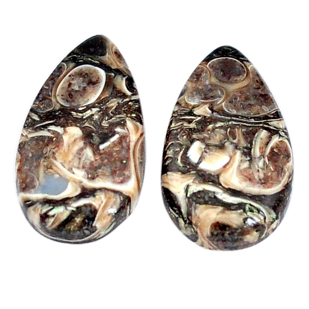 16.30cts turritella fossil snail agate 20x11mm pear pair loose gemstone s7675