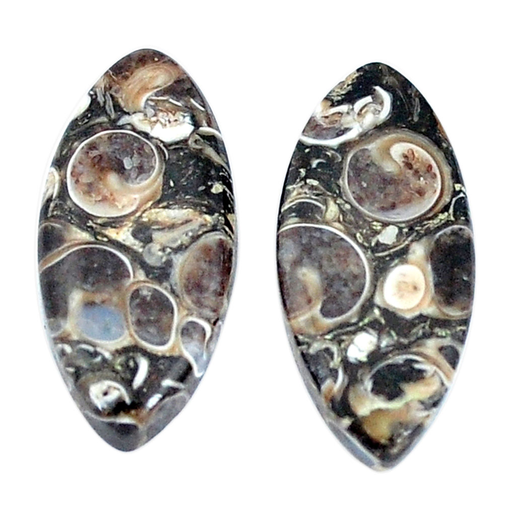 Natural 17.35cts turritella fossil snail agate 23x10mm pair loose gemstone s7677