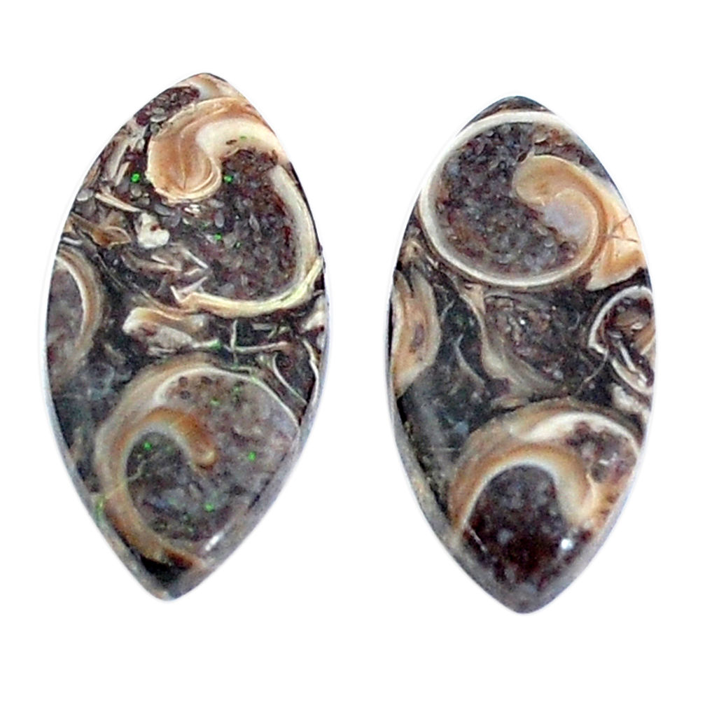 Natural 14.35cts turritella fossil snail agate 22x11mm pair loose gemstone s7679
