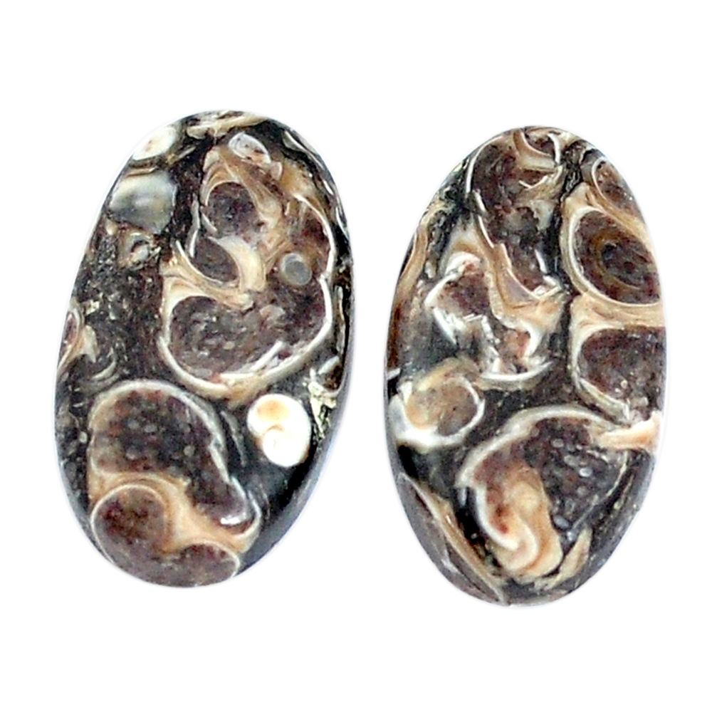 Natural 19.35cts turritella fossil snail agate 20x11mm pair loose gemstone s7680
